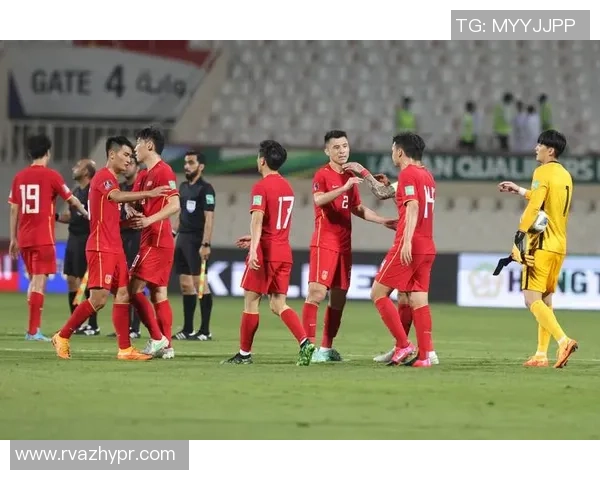 南京足球队在世界杯预选赛中的战术分析与表现评估